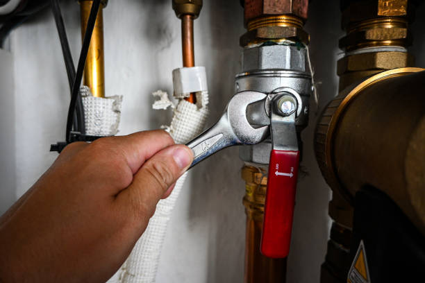 Best Sewer Line Replacement  in Stevenson, WA